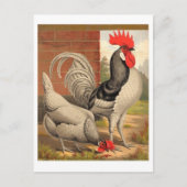 Carte postale Illustration classique (Devant)