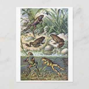 Carte postale Illustration classique