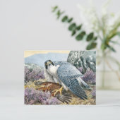 Carte postale Illustration classique (Debout devant)