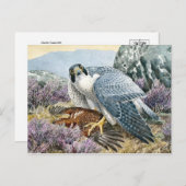 Carte postale Illustration classique (Devant / Derrière)