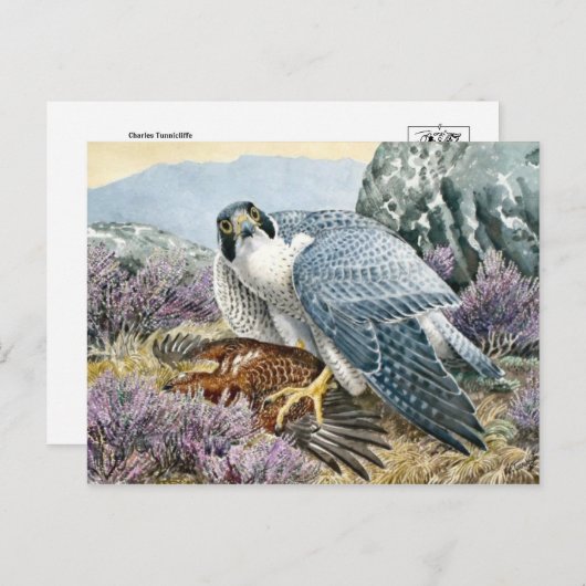 Carte postale Illustration classique (Devant / Derrière)