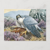 Carte postale Illustration classique (Devant)