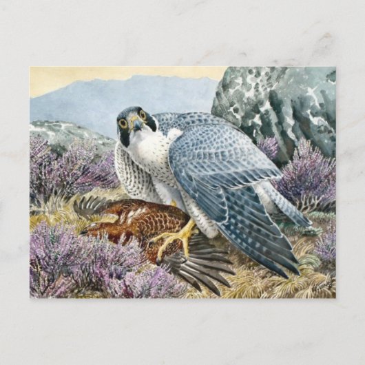 Carte postale Illustration classique (Devant)