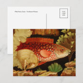 Carte postale Illustration classique (Devant / Derrière)