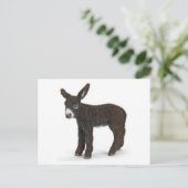 Carte postale Illustration classique (Debout devant)