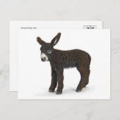 Carte postale Illustration classique (Devant / Derrière)