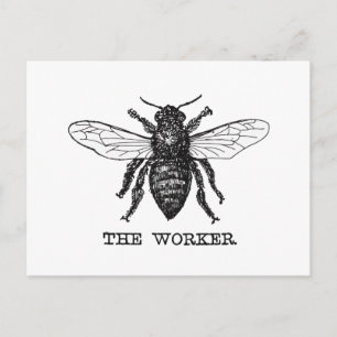 Carte Postale Illustration d'abeille ouvrière vintage