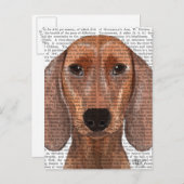 Carte Postale Illustration Dachshund Plain (Devant / Derrière)