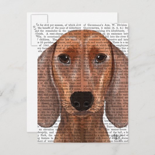 Carte Postale Illustration Dachshund Plain (Devant / Derrière)