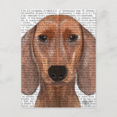 Carte Postale Illustration Dachshund Plain (Devant)
