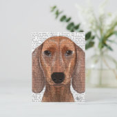 Carte Postale Illustration Dachshund Plain (Debout devant)