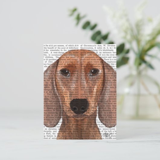 Carte Postale Illustration Dachshund Plain (Debout devant)