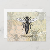 Carte Postale Illustration d'antiquité de l'insecte de la reine (Devant / Derrière)