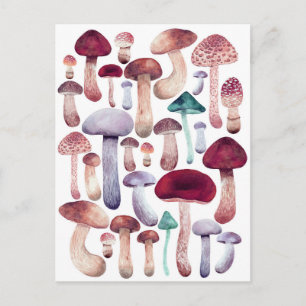 Carte Postale Illustration d'aquarelle colorée des champignons