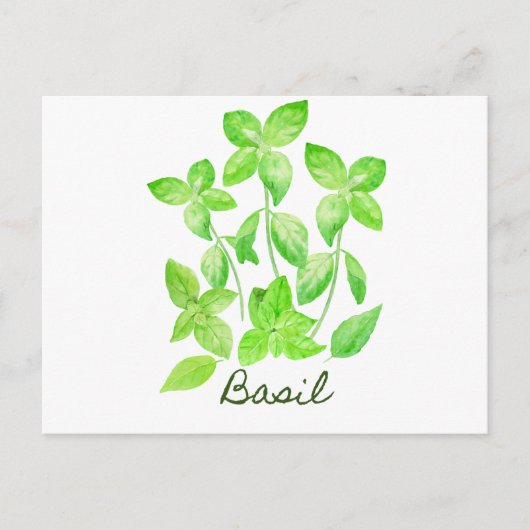 Carte Postale Illustration de base d'aquarelle (Devant)