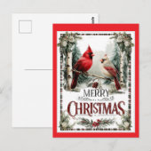 Carte Postale Illustration de cardinal joyeux Noël (Devant / Derrière)