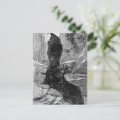 Carte Postale Illustration de chauve-souris 1885 (Debout devant)