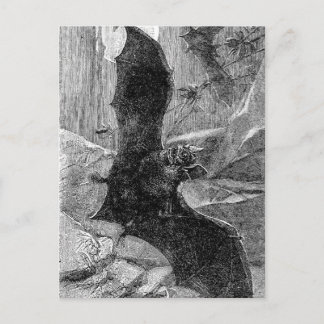 Carte Postale Illustration de chauve-souris 1885
