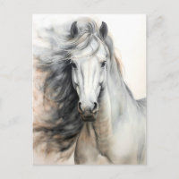 Illustration de cheval blanc Postcrossing