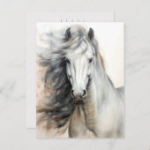 Carte Postale Illustration de cheval blanc Postcrossing (Devant / Derrière)