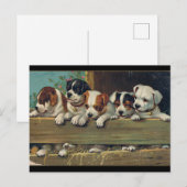 Carte Postale Illustration de Chiots vintages, Hunde-Welpen (Devant / Derrière)