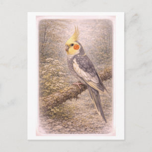 Carte Postale Illustration de cockatiel de style vintage