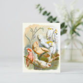 Carte Postale Illustration de Cockatoos vintages (Debout devant)