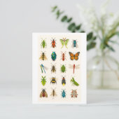 Carte Postale Illustration de collage d'insecte (Debout devant)
