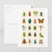 Carte Postale Illustration de collage d'insecte (Devant / Derrière)