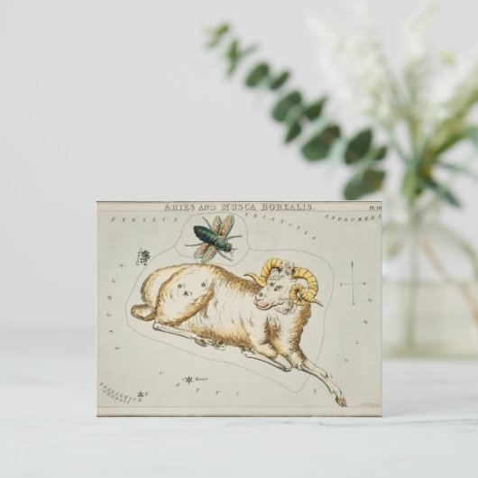 Carte Postale Illustration de constellation vintage (Debout devant)