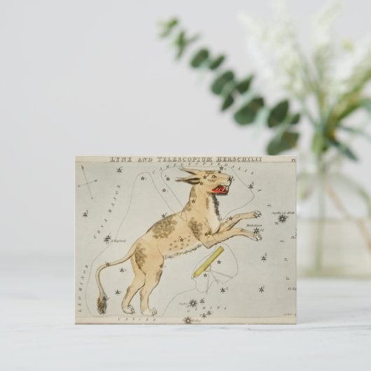 Carte Postale Illustration de constellation vintage (Debout devant)