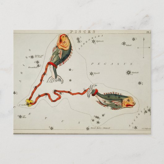 Carte Postale Illustration de constellation vintage (Devant)