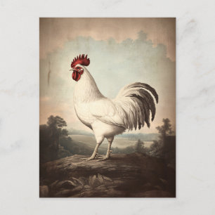 Carte Postale Illustration de coq blanc Vintage inspirée