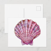 Carte Postale Illustration de coquillage rose d'aquarelle vive (Devant / Derrière)