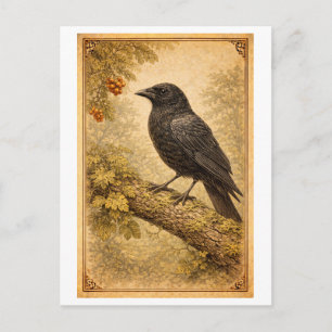 Carte Postale Illustration de corbeau de style vintage