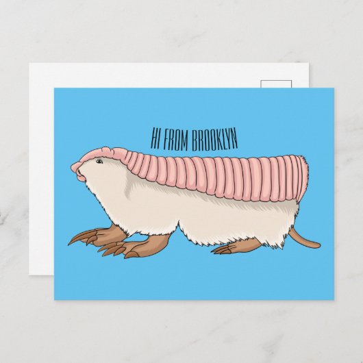 Carte Postale Illustration de dessin animé de tatou fée rose (Devant / Derrière)