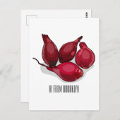 Carte Postale Illustration de dessin animé Shallot (Devant / Derrière)