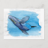 Carte Postale Illustration de dessin d'animaux marins de baleine (Devant)