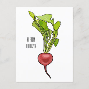 Carte Postale Illustration de dessin Radish