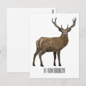 Carte Postale Illustration de dessin sur le cerf (Devant / Derrière)