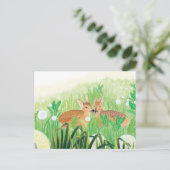 Carte Postale Illustration de faons dans les hautes herbes (Debout devant)
