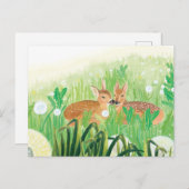 Carte Postale Illustration de faons dans les hautes herbes (Devant / Derrière)