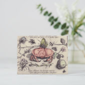 Carte Postale Illustration de fleur d'insecte botanique de crabe (Debout devant)