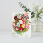 Carte Postale Illustration de fleur vintage (Debout devant)