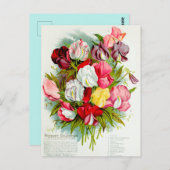 Carte Postale Illustration de fleur vintage (Devant / Derrière)