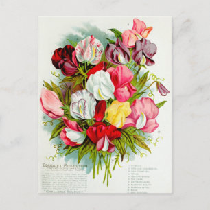 Carte Postale Illustration de fleur vintage