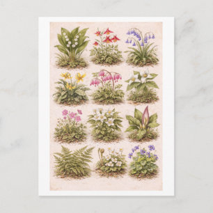 Carte Postale Illustration de fleurs sauvages de style vintage