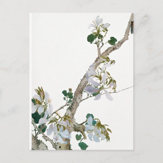 Carte Postale Illustration de fleurs vintage (Devant)