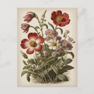 Carte Postale Illustration de fleurs vintage
