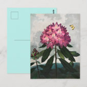 Carte Postale Illustration de fleurs vintage (Devant / Derrière)